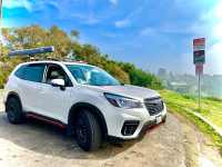 What should I choose between the Toyota RAW4 or the Kodiaq?